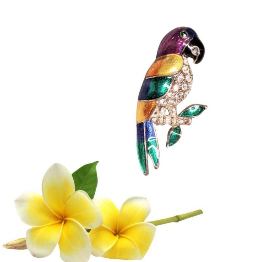 Brooch parakeet, EUC
